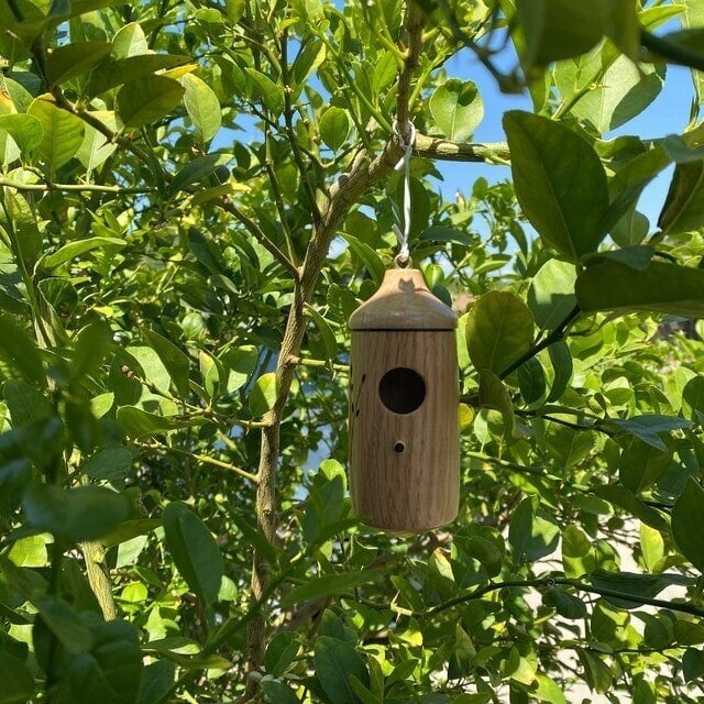 Casa Colibrí de Madera-Regalo para Amantes de la Naturaleza 