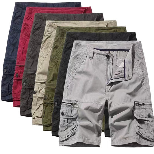 🔥Last Day 69% Off🔥2024 Summer Men's Hiking Cargo Shorts